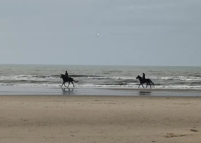 Gite Dans Le Pre Hesdin L\'Abbe