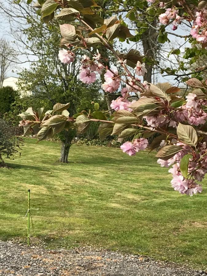 Dans Le Pré Hesdin L'abbé Carly