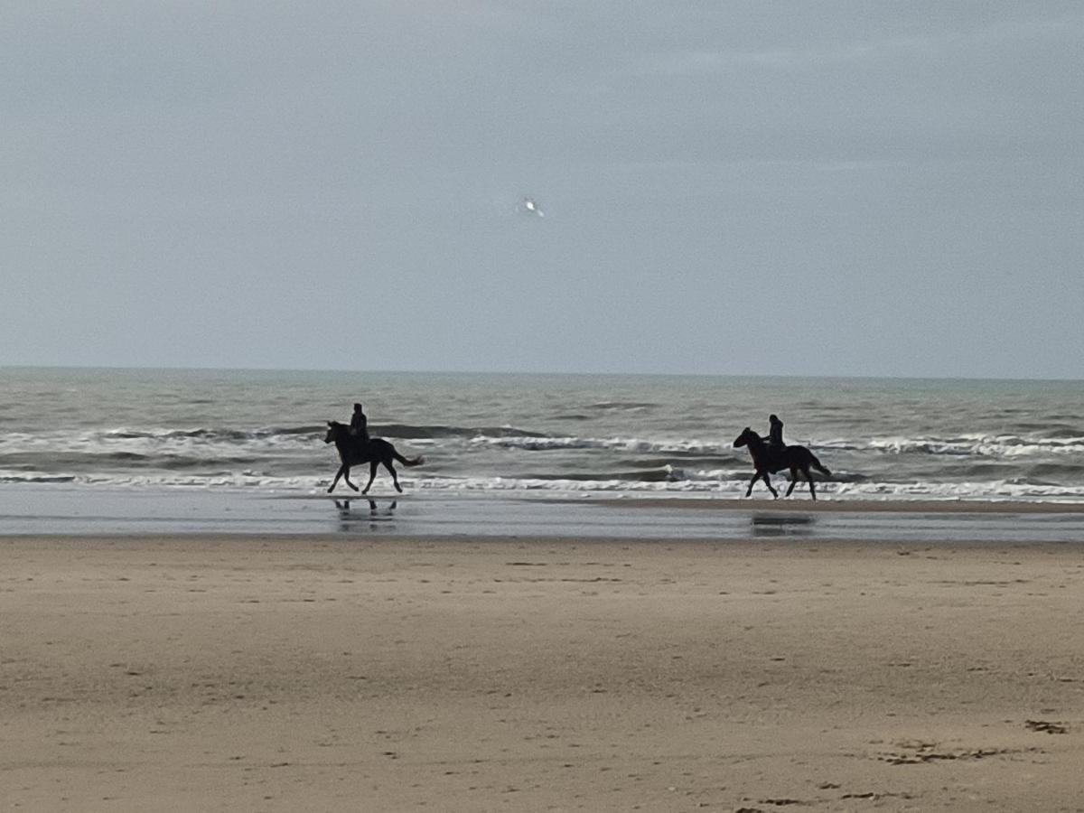 Dans Le Pre Hesdin L'abbe